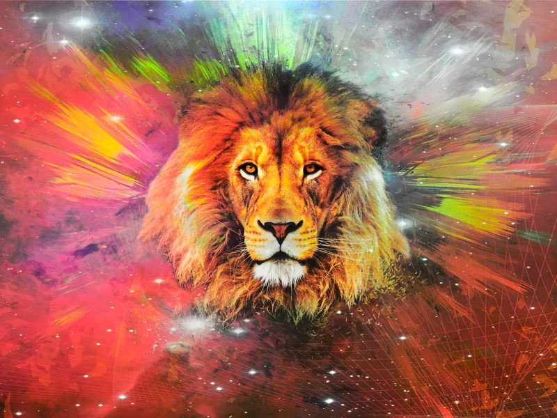 animal, lion, drawing, art