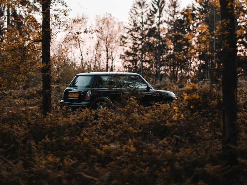 auto, mini cooper