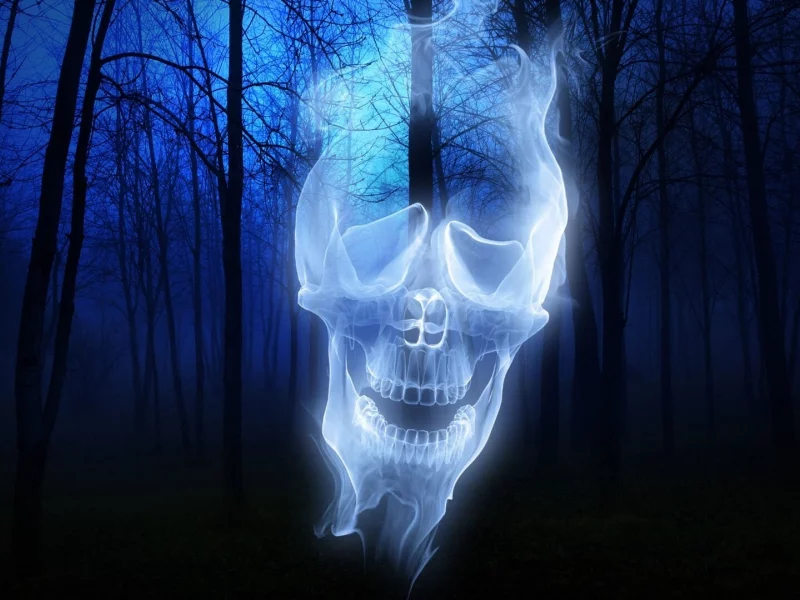 fantasy, ghost, skull, forest, night