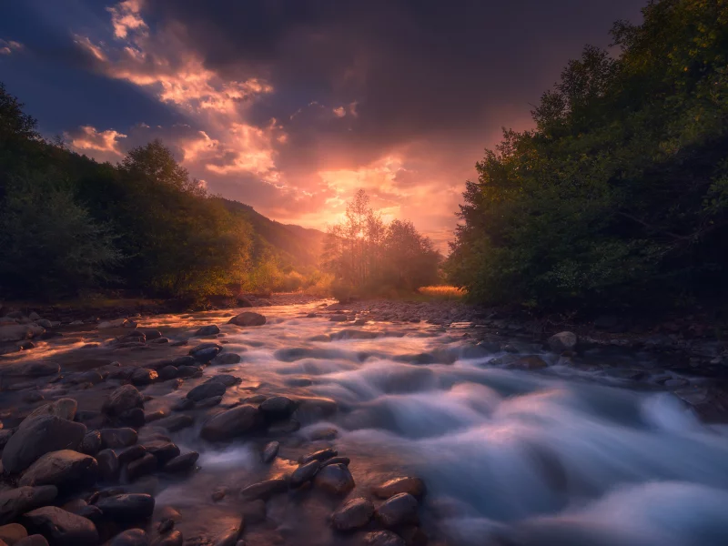 nature, forest, river, stormy, sky, clouds