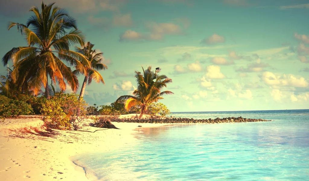 landscape, beach, sea, palm trees, sky