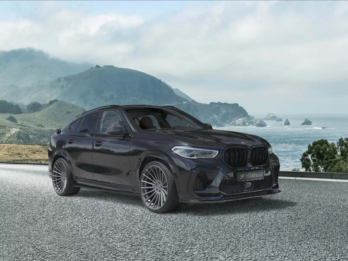 hamann, bmw x 6m, competition, custom, tuning