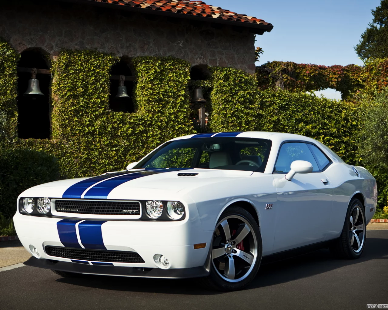 auto, dodge