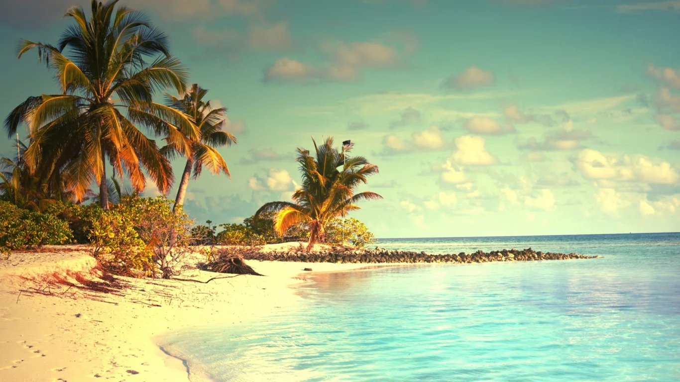 landscape, beach, sea, palm trees, sky