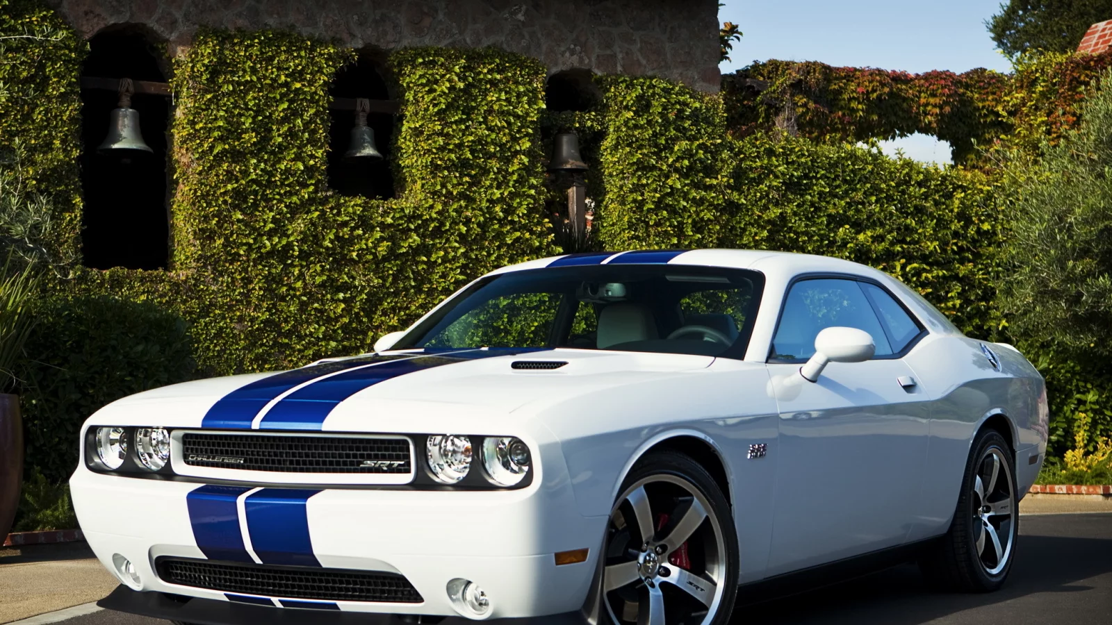 auto, dodge