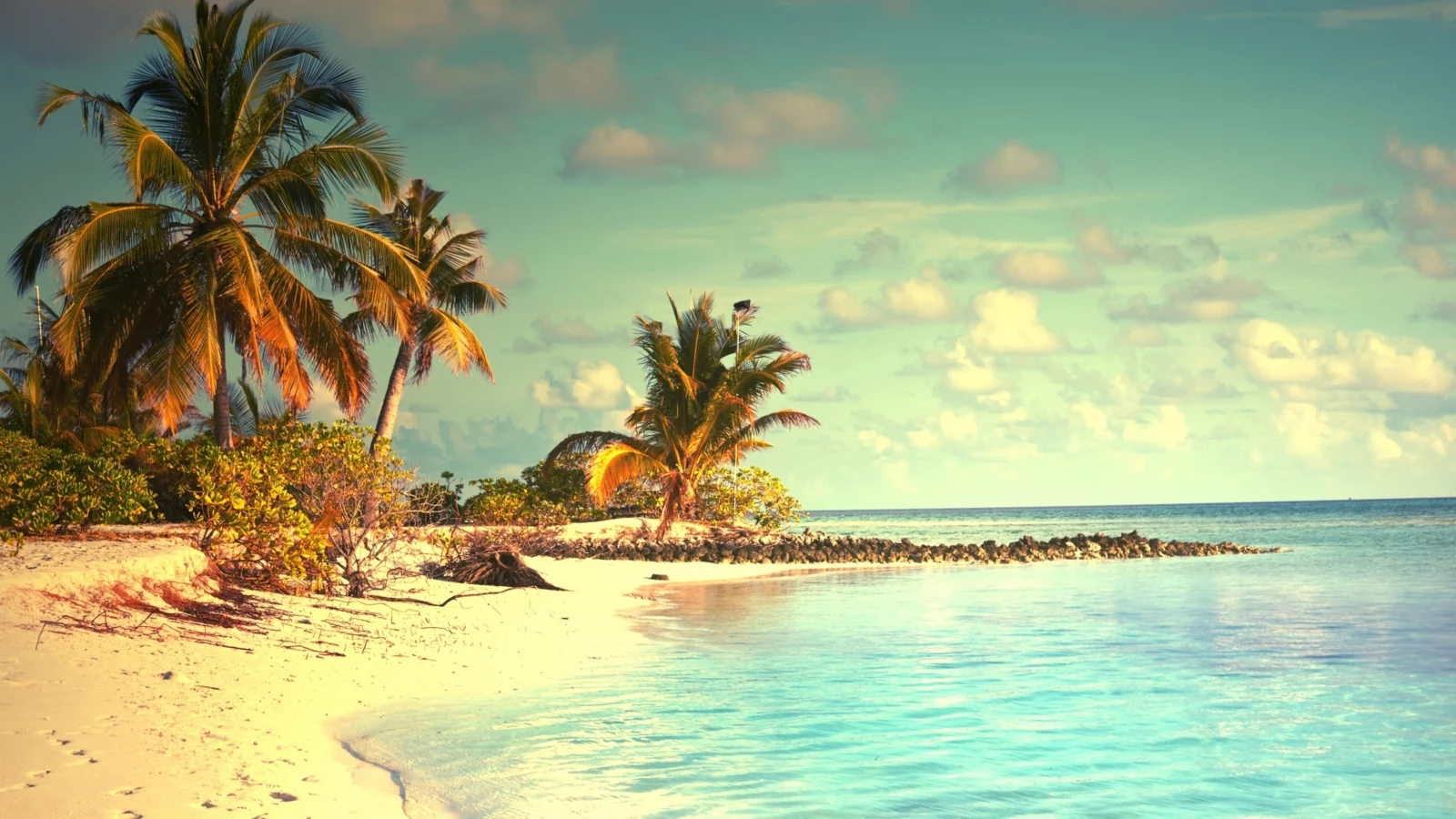 landscape, beach, sea, palm trees, sky