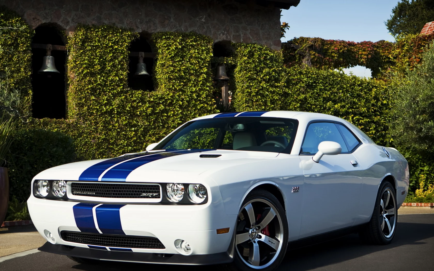 auto, dodge