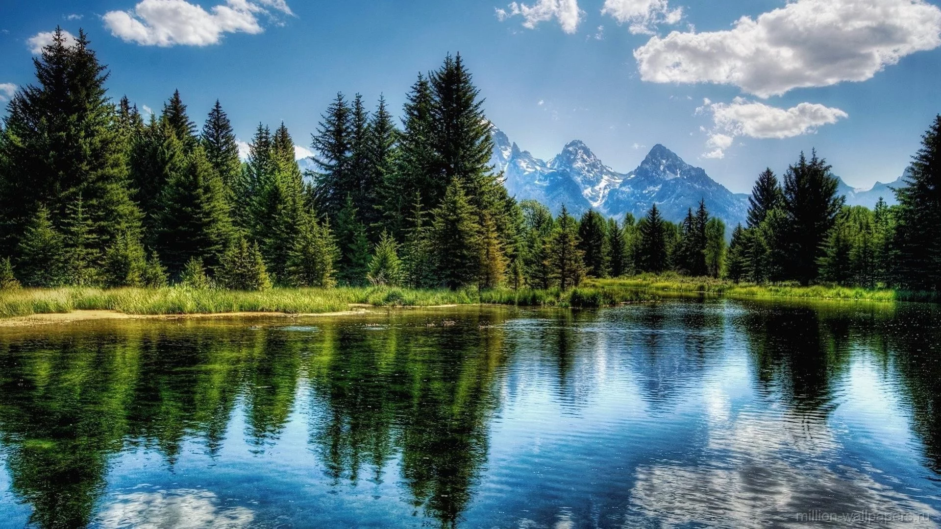 nature, river