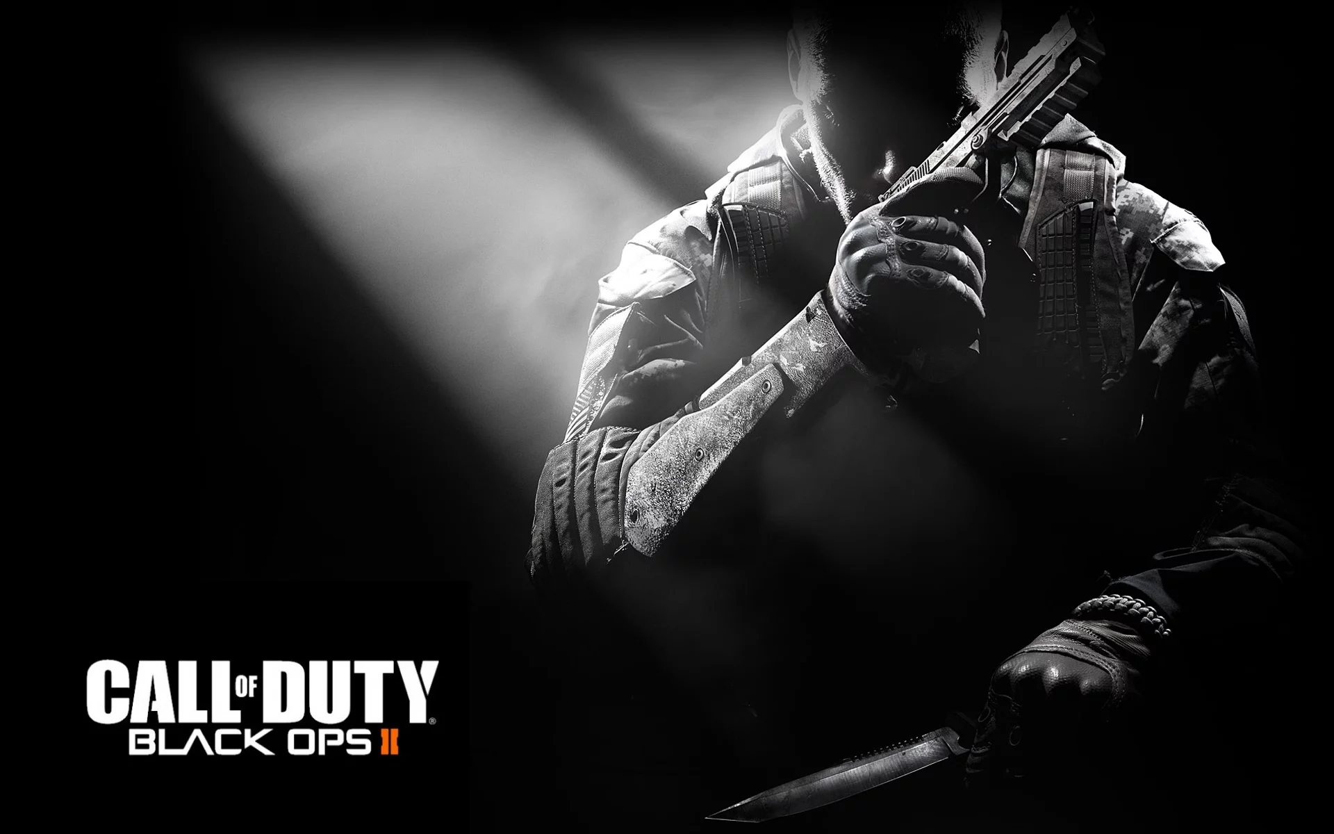game, call of duty