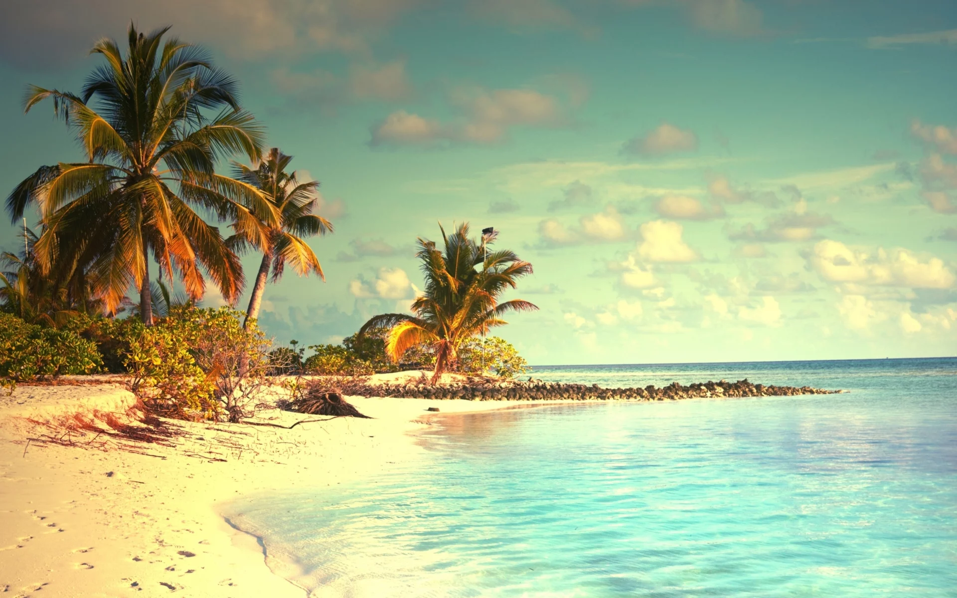 landscape, beach, sea, palm trees, sky