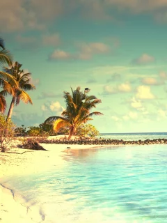 landscape, beach, sea, palm trees, sky