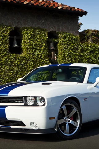 auto, dodge