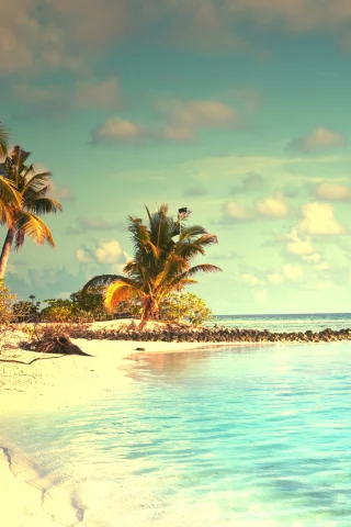 landscape, beach, sea, palm trees, sky