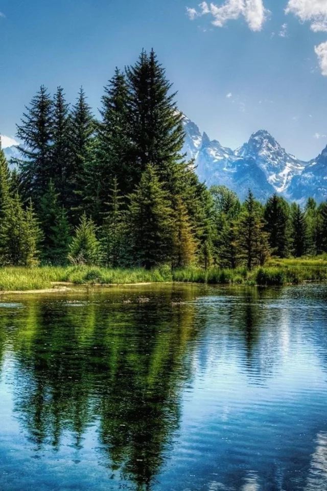 nature, river
