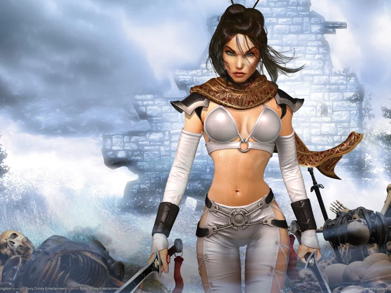 fantasy, girl, warrior, swords, skull