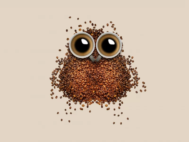 coffee, beans, owl, coffee cup, brown drinks, caffeine, beautiful