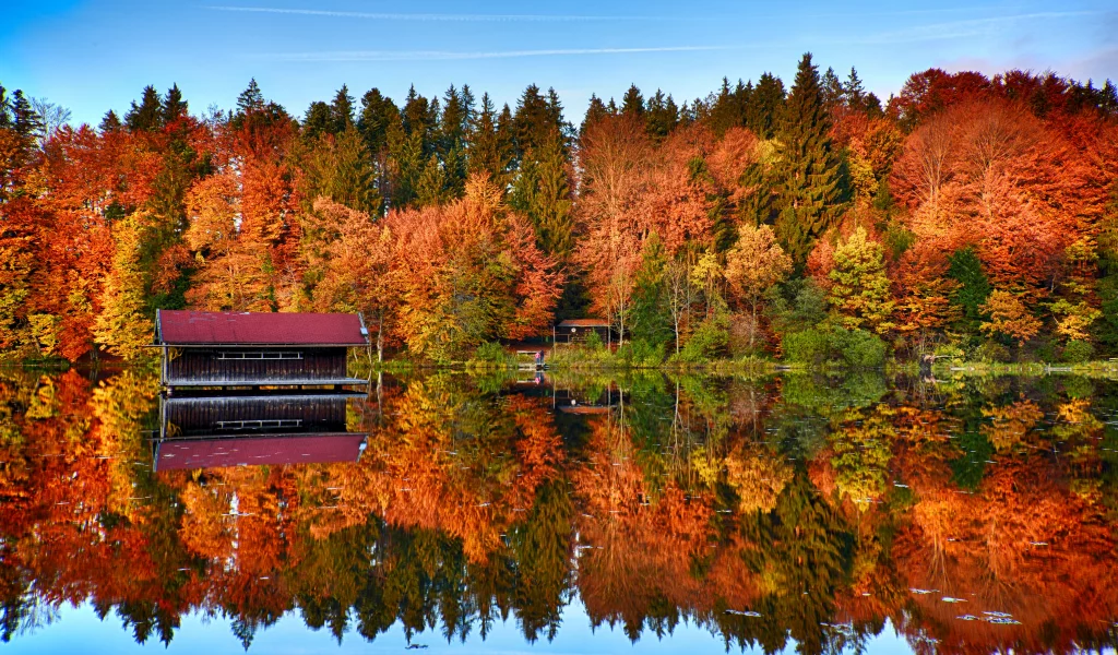autumn, trees, forest, mirror, lake, reflection, wooden house