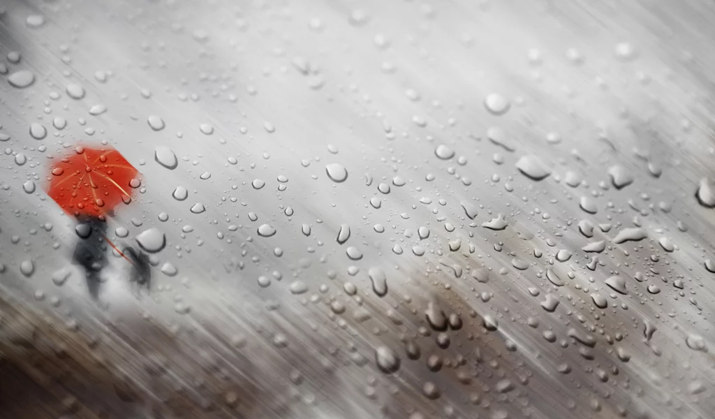 rain, drop, silhouette