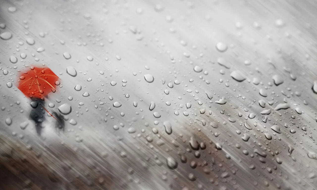 rain, drop, silhouette
