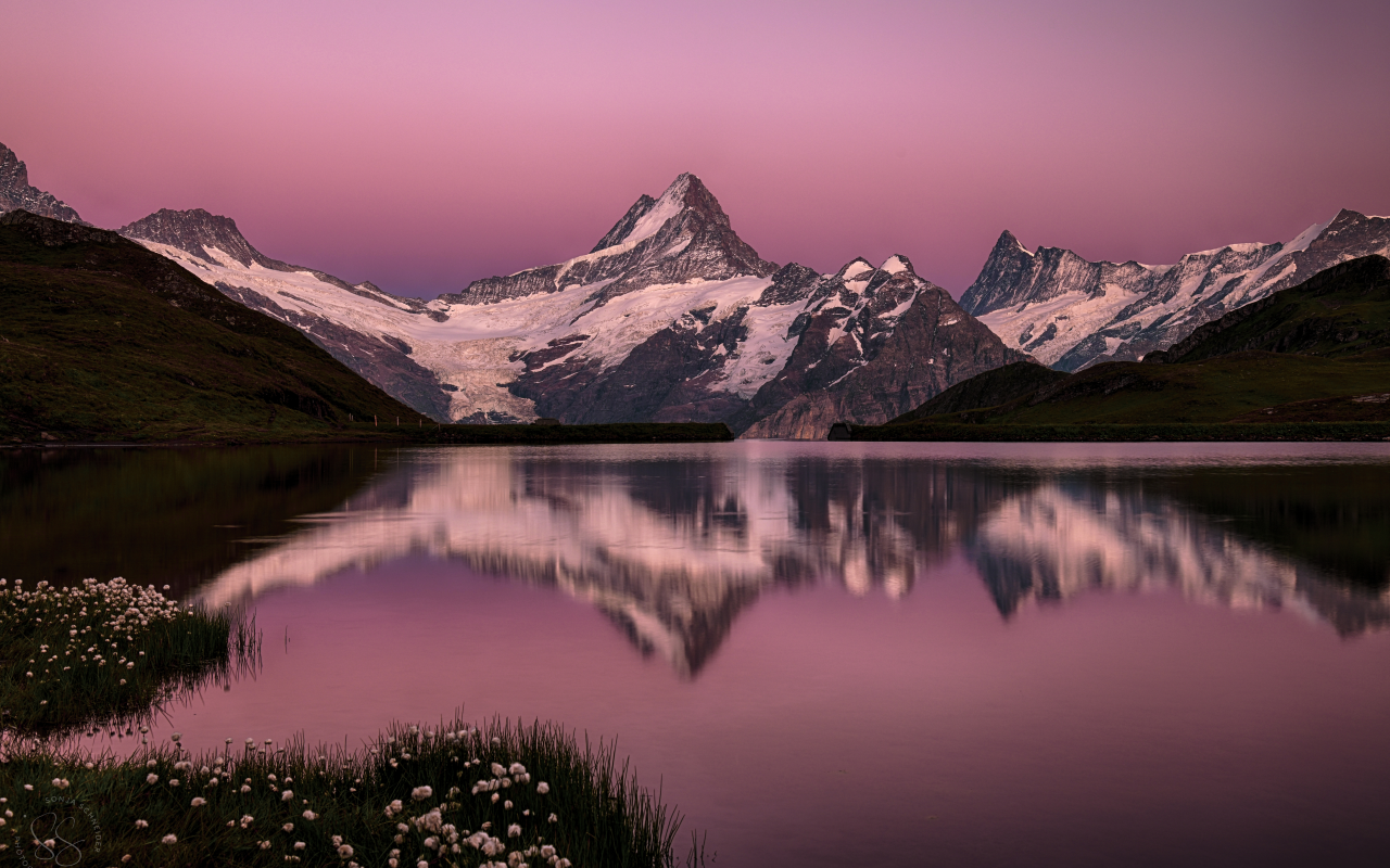 bachalpsee, lake, switzerland, swiss alps, pink, sky, snow