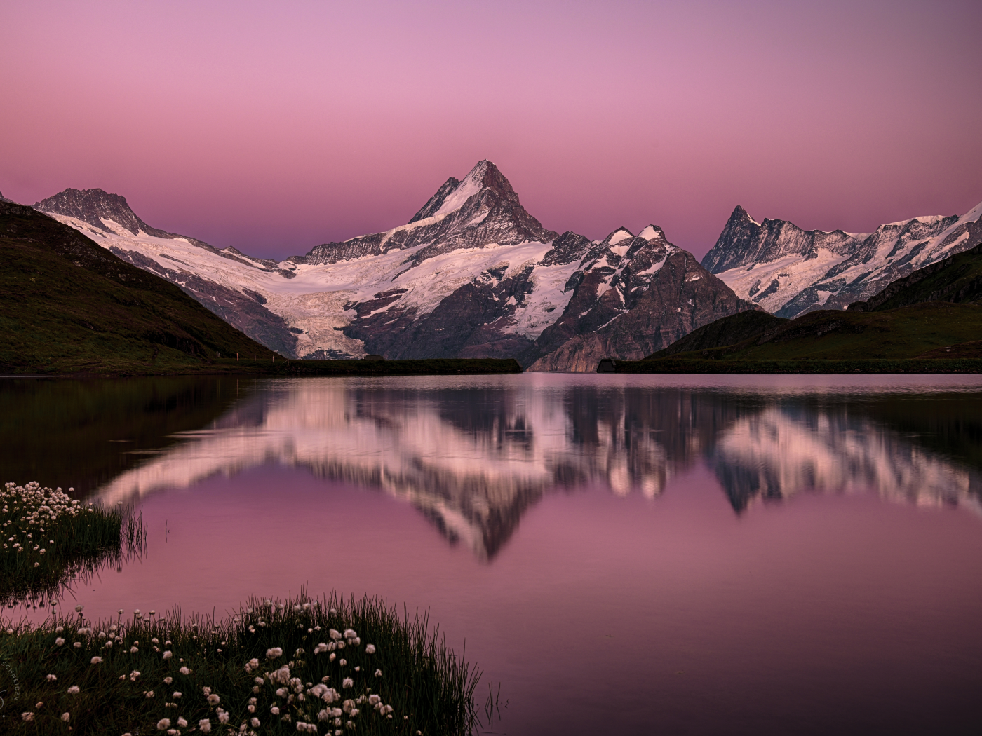 bachalpsee, lake, switzerland, swiss alps, pink, sky, snow