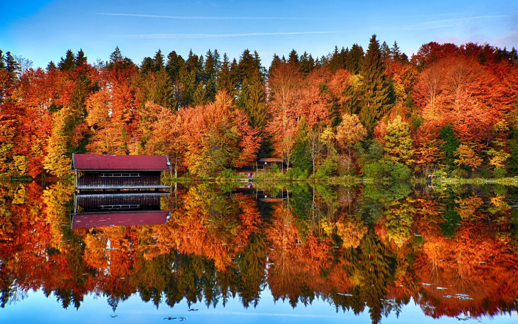autumn, trees, forest, mirror, lake, reflection, wooden house