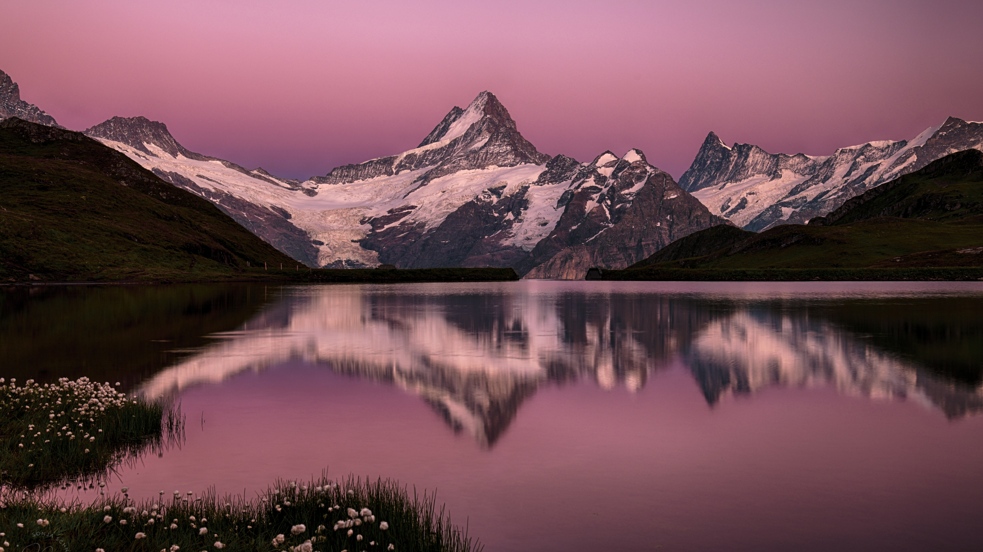 bachalpsee, lake, switzerland, swiss alps, pink, sky, snow