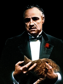 film, godfather, don corleone