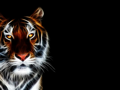 animated, tiger, wallpaper, 3d