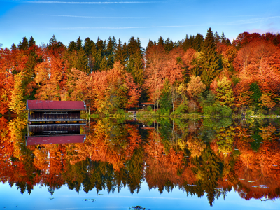 autumn, trees, forest, mirror, lake, reflection, wooden house