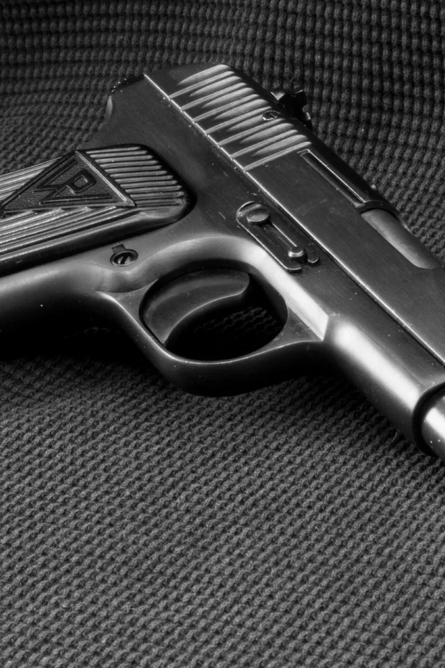 tt pistol, selfloading, pistol