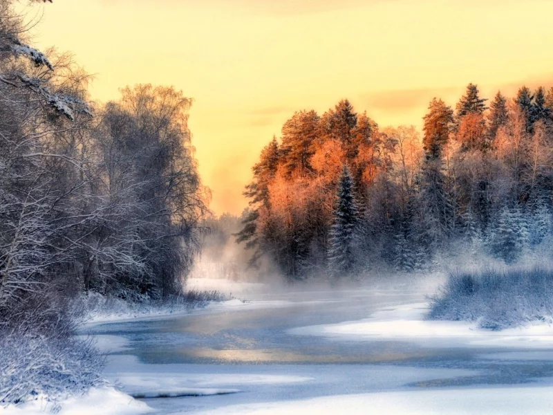 nature, winter, forest, river