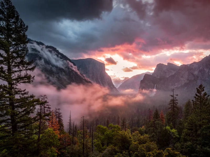 yosemite national park, yosemite valley, misty, morning