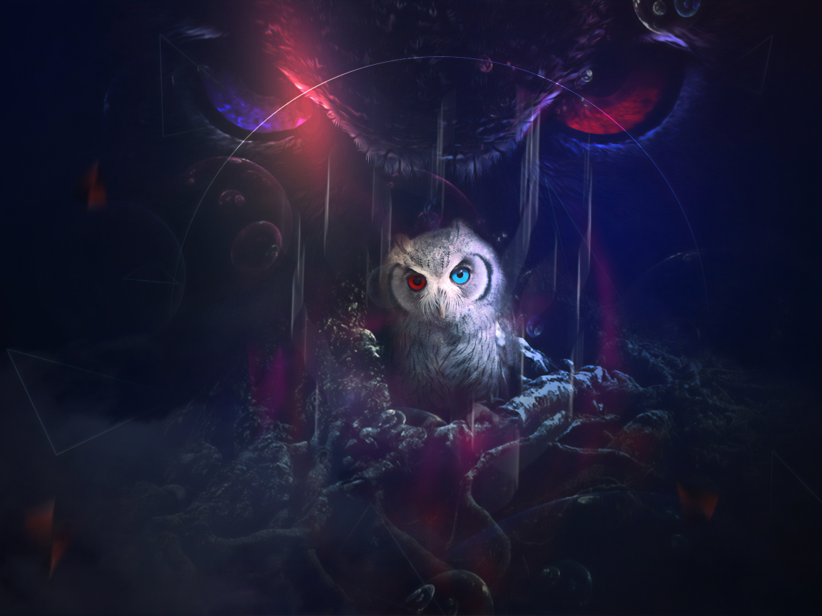 owl, look, fantasy, graphics, art