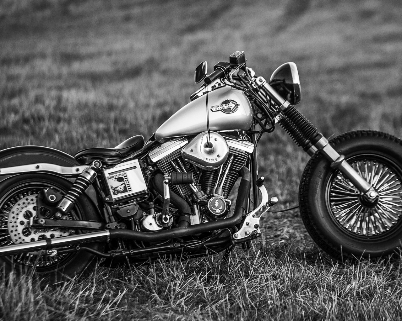 bike, harley davidson