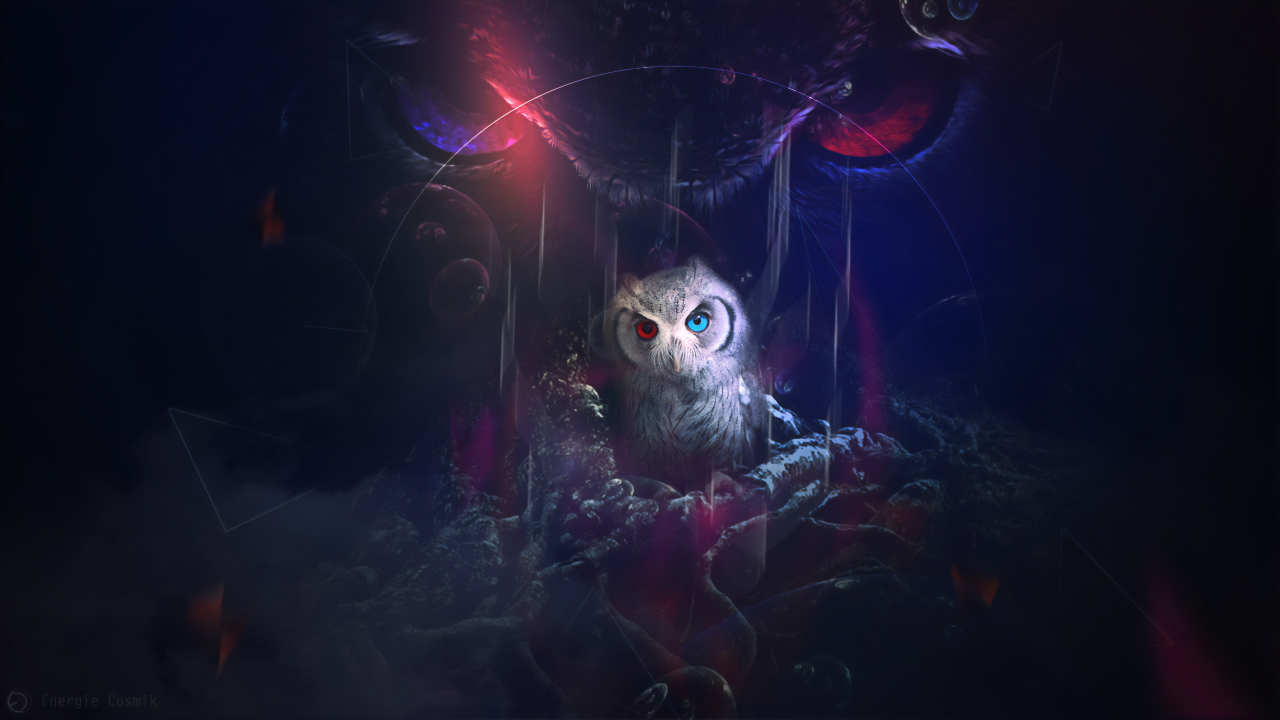 owl, look, fantasy, graphics, art