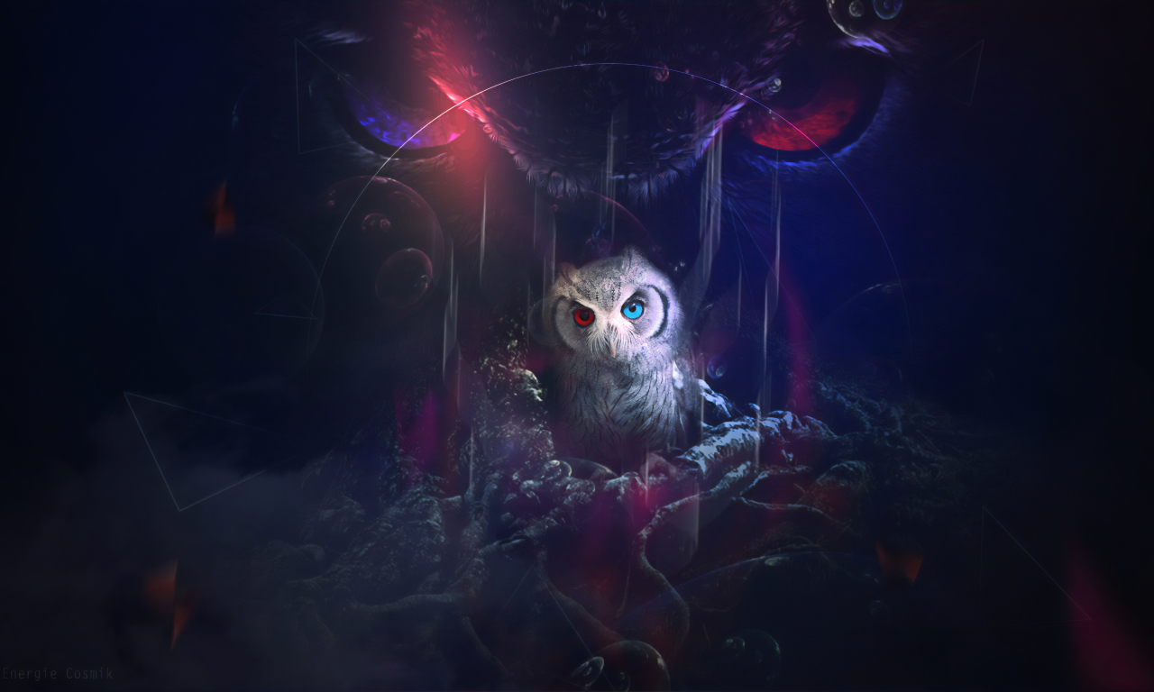 owl, look, fantasy, graphics, art