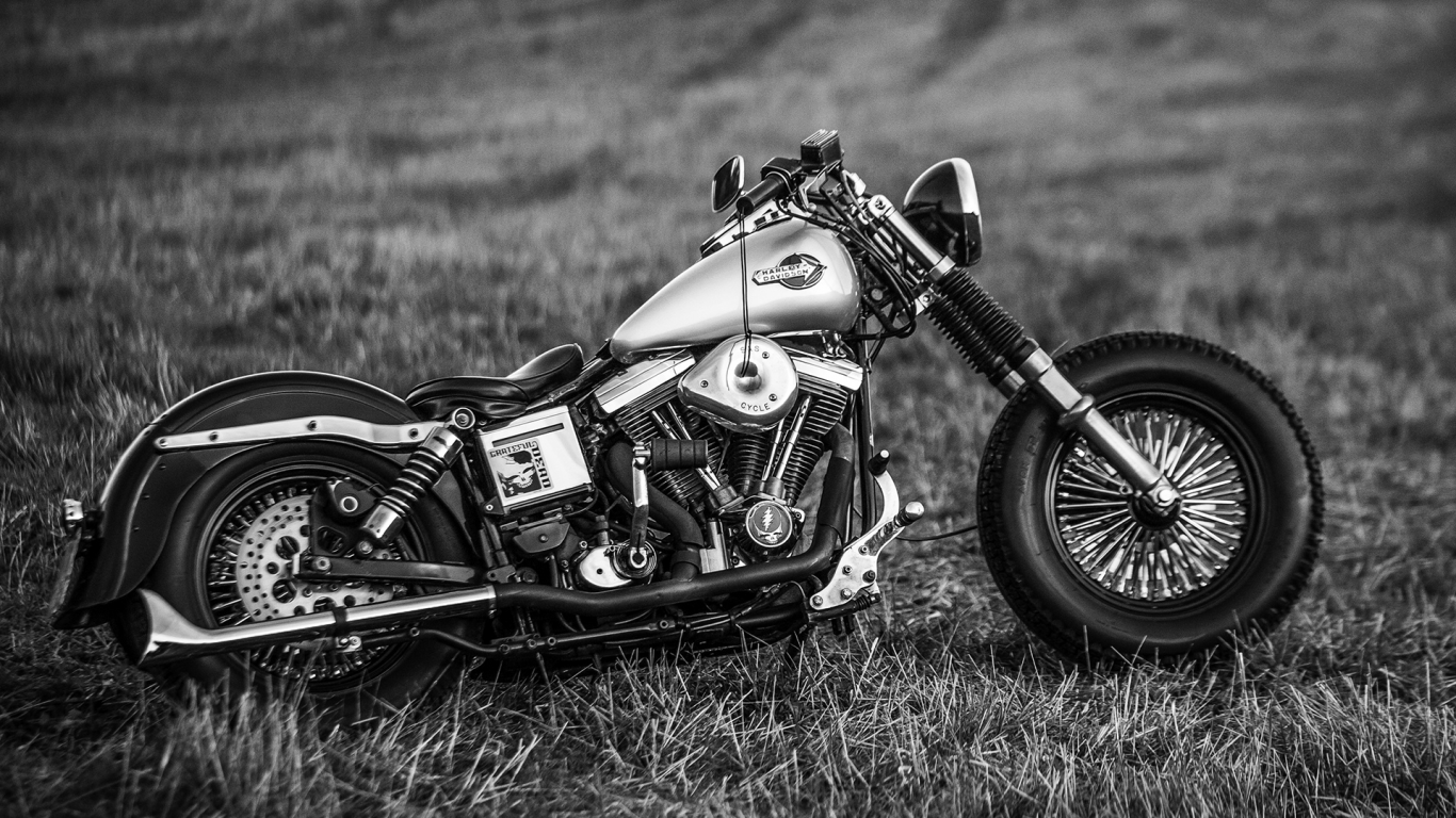 bike, harley davidson