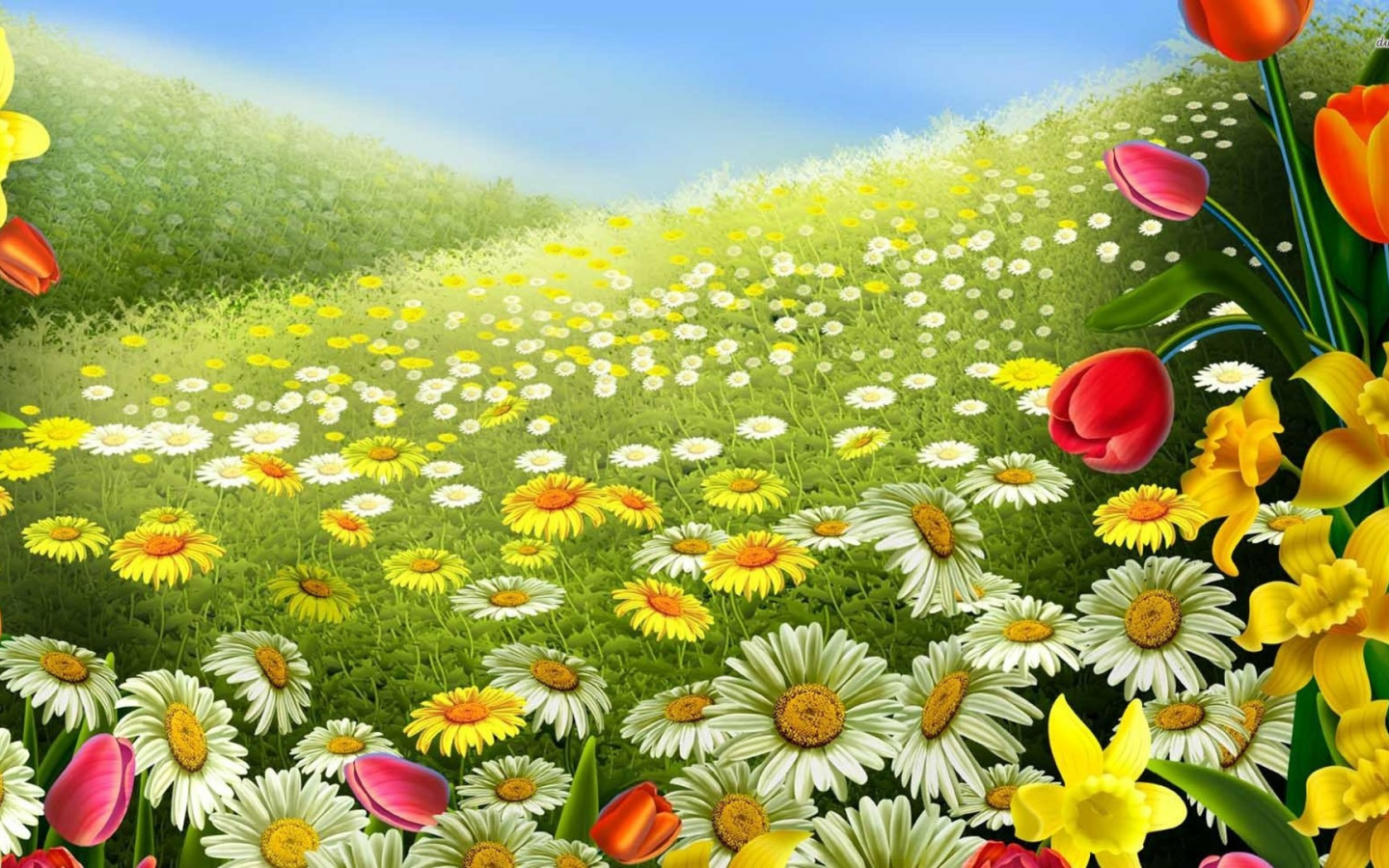 field, flowers