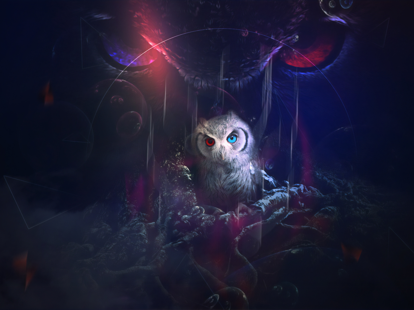 owl, look, fantasy, graphics, art