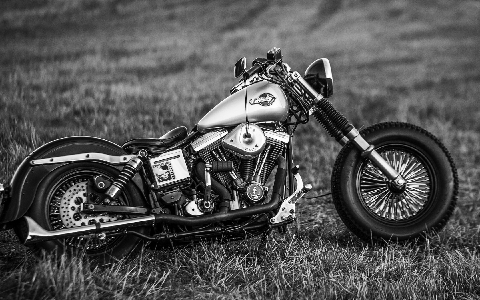 bike, harley davidson