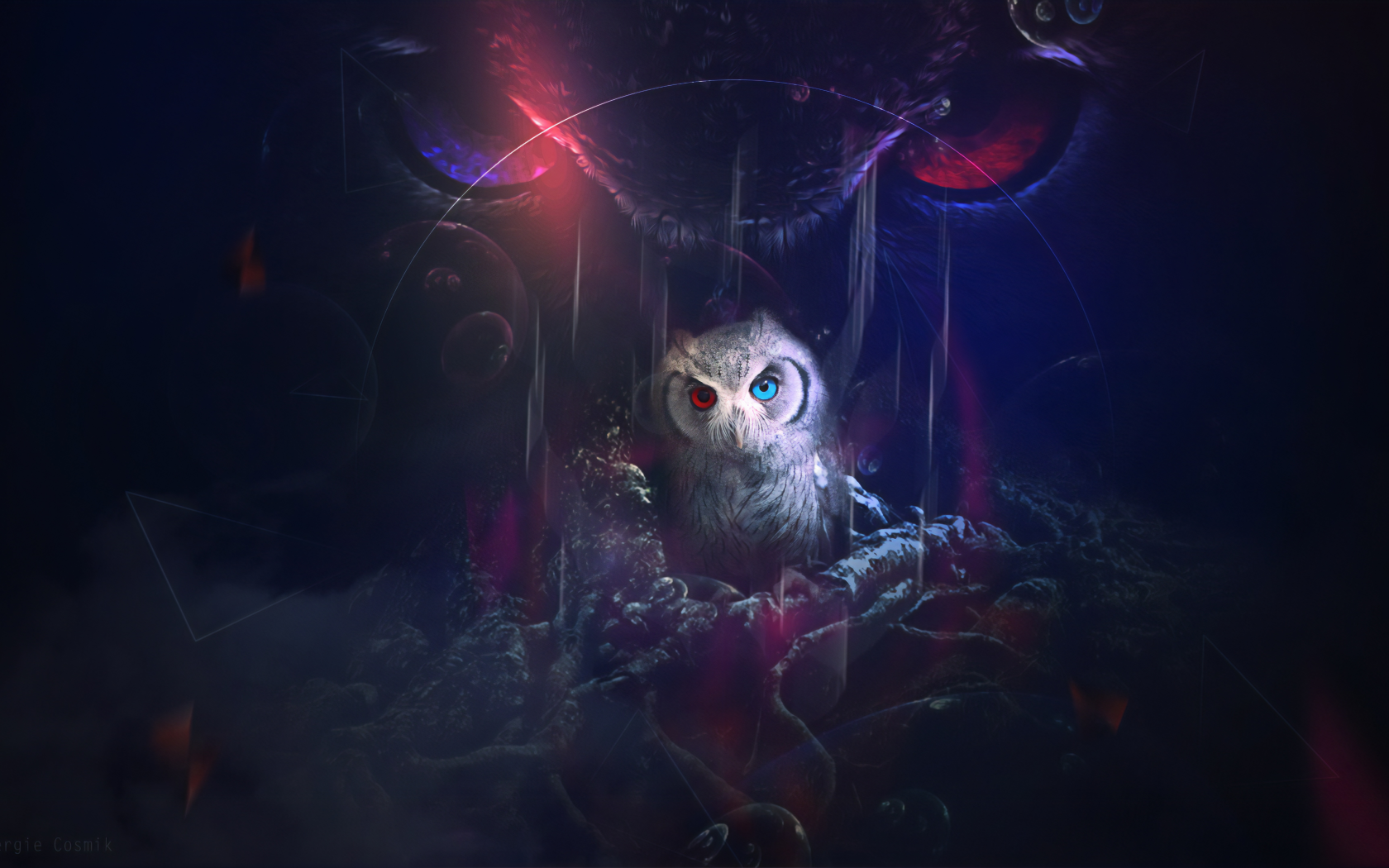 owl, look, fantasy, graphics, art