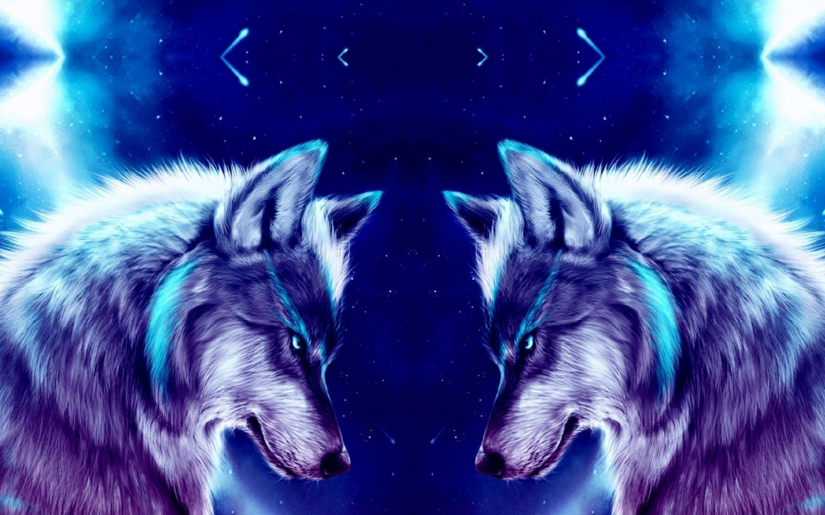 wolf, night, wallpaper