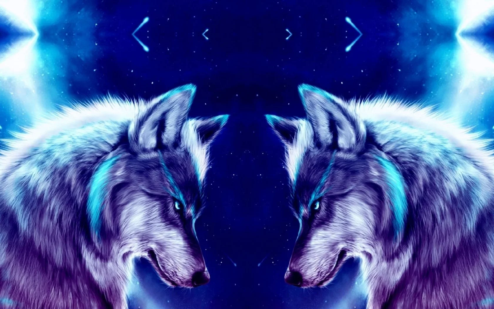 wolf, night, wallpaper