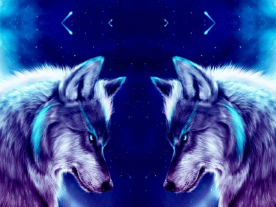 wolf, night, wallpaper