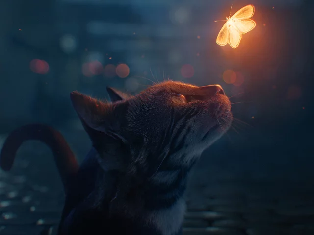 cat, fantasy, butterfly
