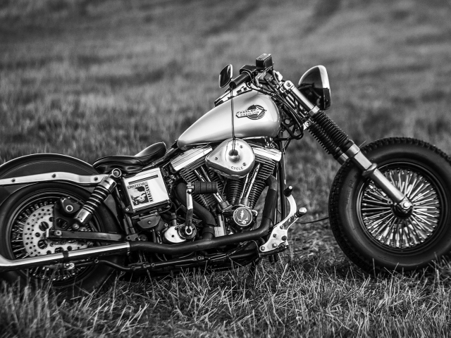 bike, harley davidson