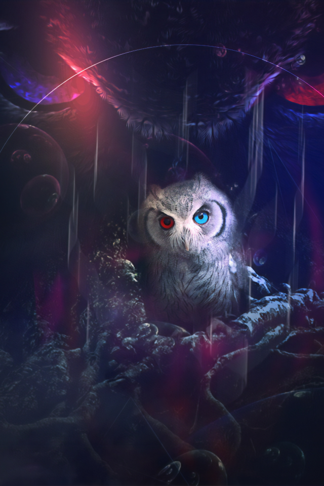 owl, look, fantasy, graphics, art