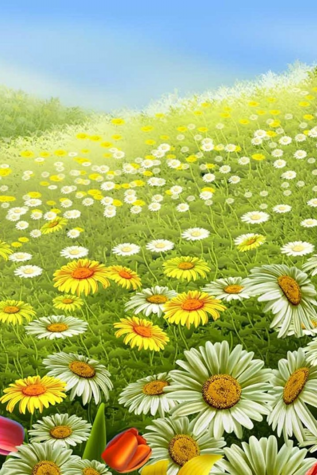 field, flowers