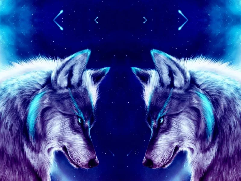 wolf, night, wallpaper